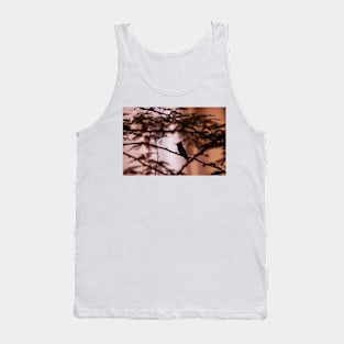 Hummingbird Sunset Tank Top